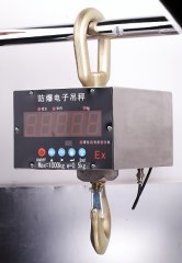 OCS系列本安防爆電子吊